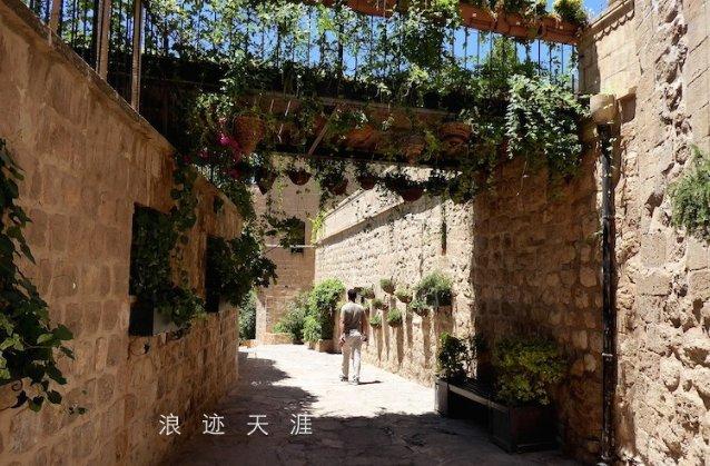 【专业建在产业上】打造技能人才,彰显职教魅力——汽车运用与维修专业