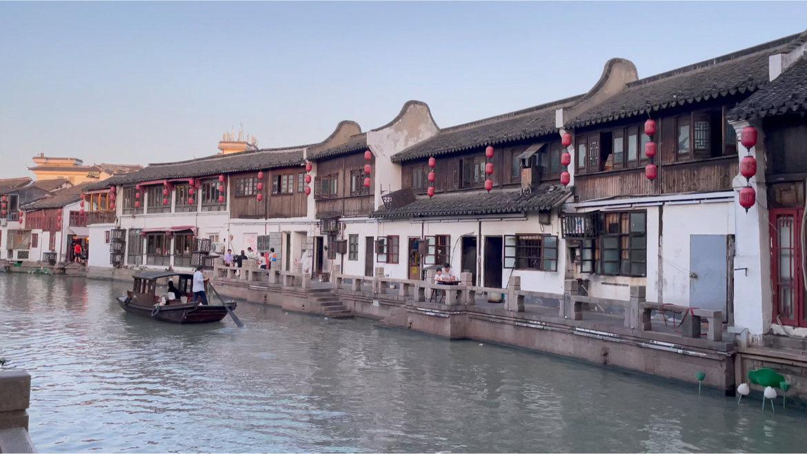 漂亮鹦鹉救援